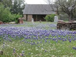 Historical Buffalo Gap